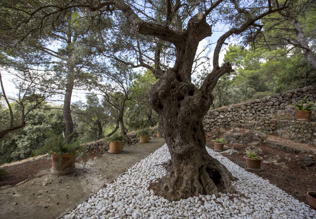 Villa en Fornalutx - Sa Casa d'es Mirador - Sóller Valley Villa - Stunning Sunset Views Villa en Fornalutx - Sa Casa d'es Mirador - Sóller Valley Villa - Stunning Sunset Views