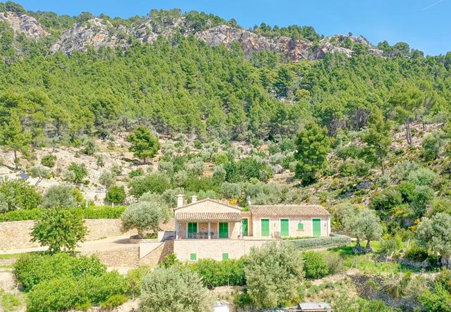 Villa en Estellencs - Son Llarg - 100% Eco-Villa in Estellencs Villa en Estellencs - Son Llarg - 100% Eco-Villa in Estellencs