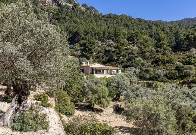 Villa en Estellencs - Son Llarg - 100% Eco-Villa in Estellencs Villa en Estellencs - Son Llarg - 100% Eco-Villa in Estellencs