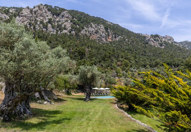 Villa en Bunyola - Honor - Rustic villa for up to 16 people Villa en Bunyola - Honor - Rustic villa for up to 16 people