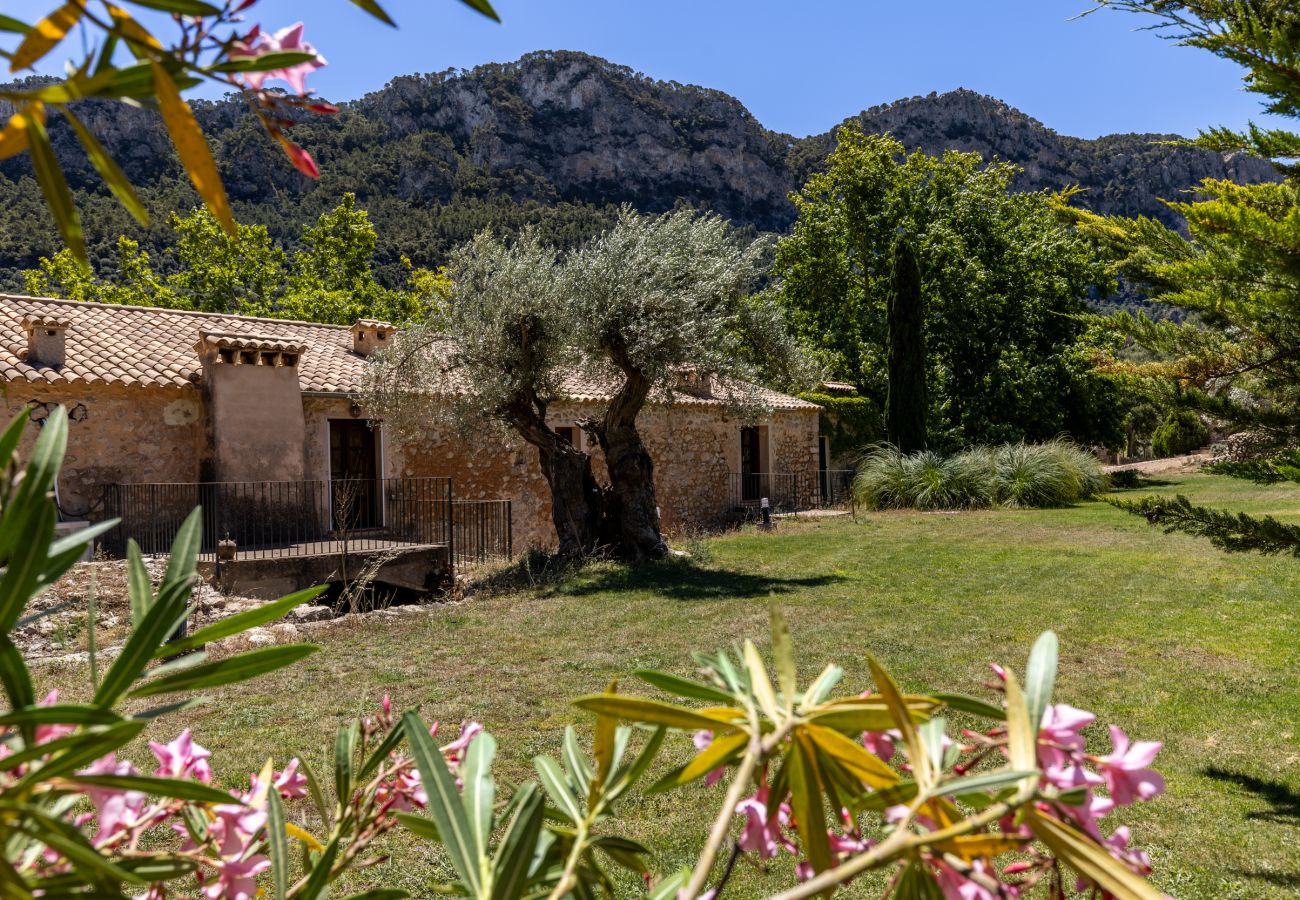 Villa en Bunyola - Honor - Rustic villa for up to 16 people Villa en Bunyola - Honor - Rustic villa for up to 16 people